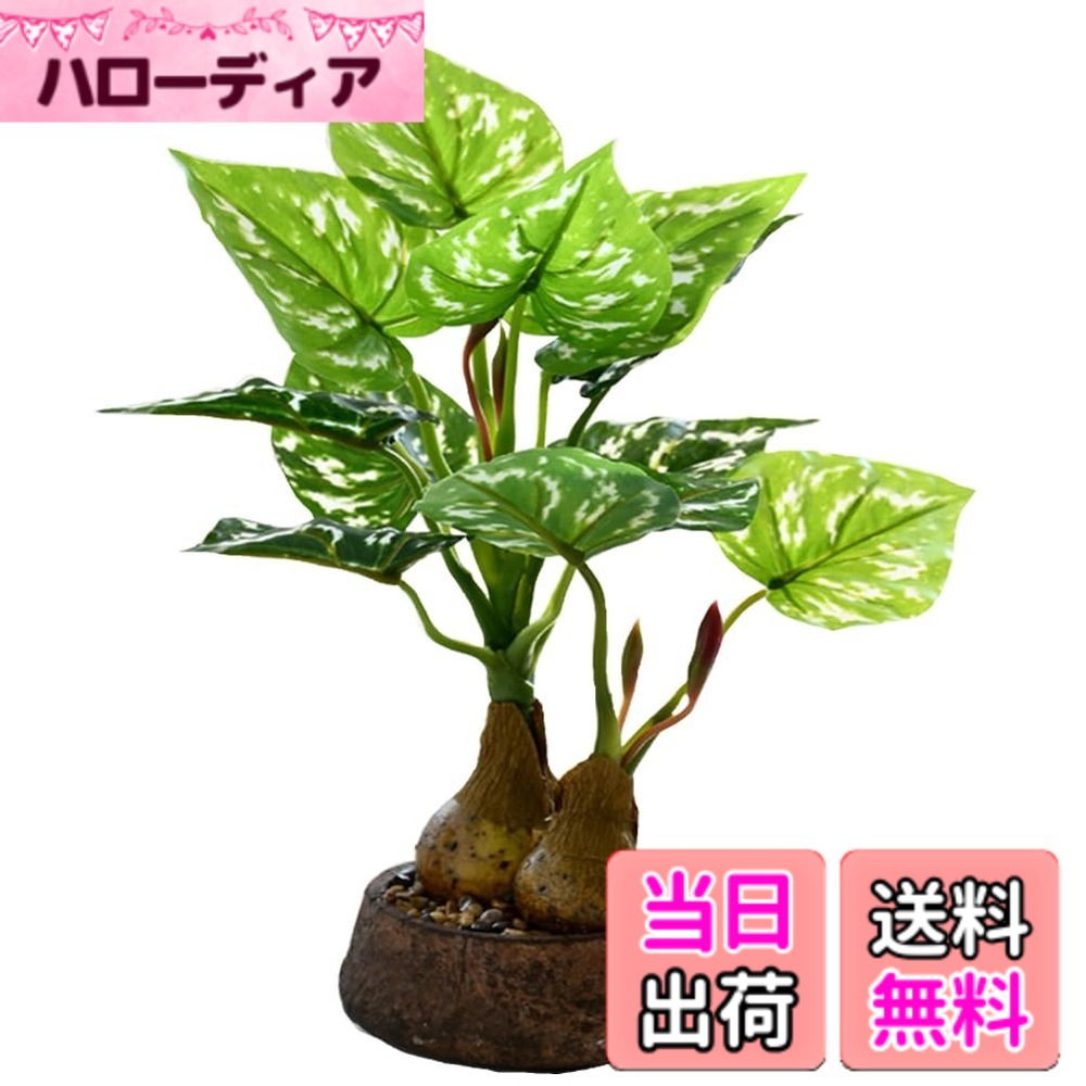 【送料無料】フェイクグリーン 人工観葉植物 光触媒 人工盆栽 モンステラインテリア 高さ33CM 空気清浄 鉢植え卓上 小型 植木鉢 お世話不要 室内 屋外 フェイク植物 盆栽植物 色：D、サイズ：中等