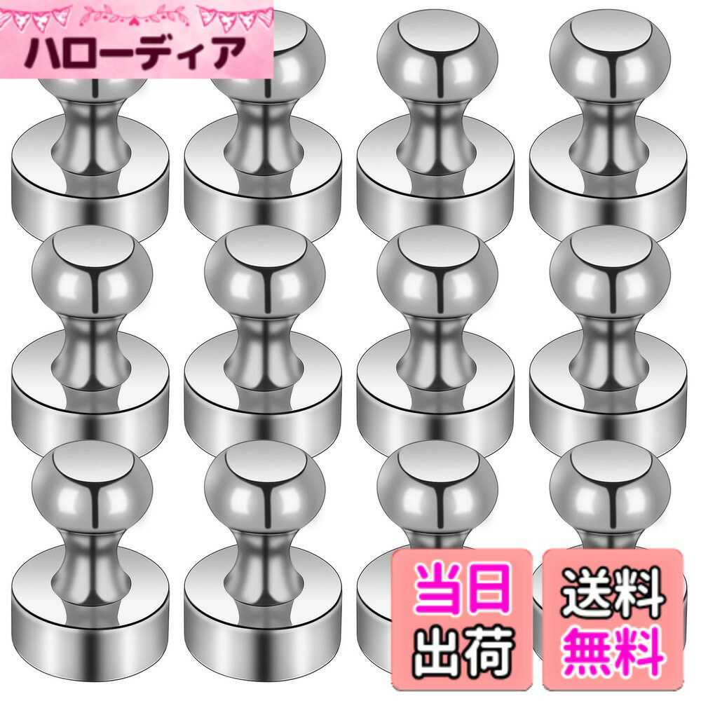 【送料無料】マグネット ネオジム磁石 超強力 冷蔵庫 マグネット マグネットピン ホワイトボード 色：シルバー、サイズ：銀-12個