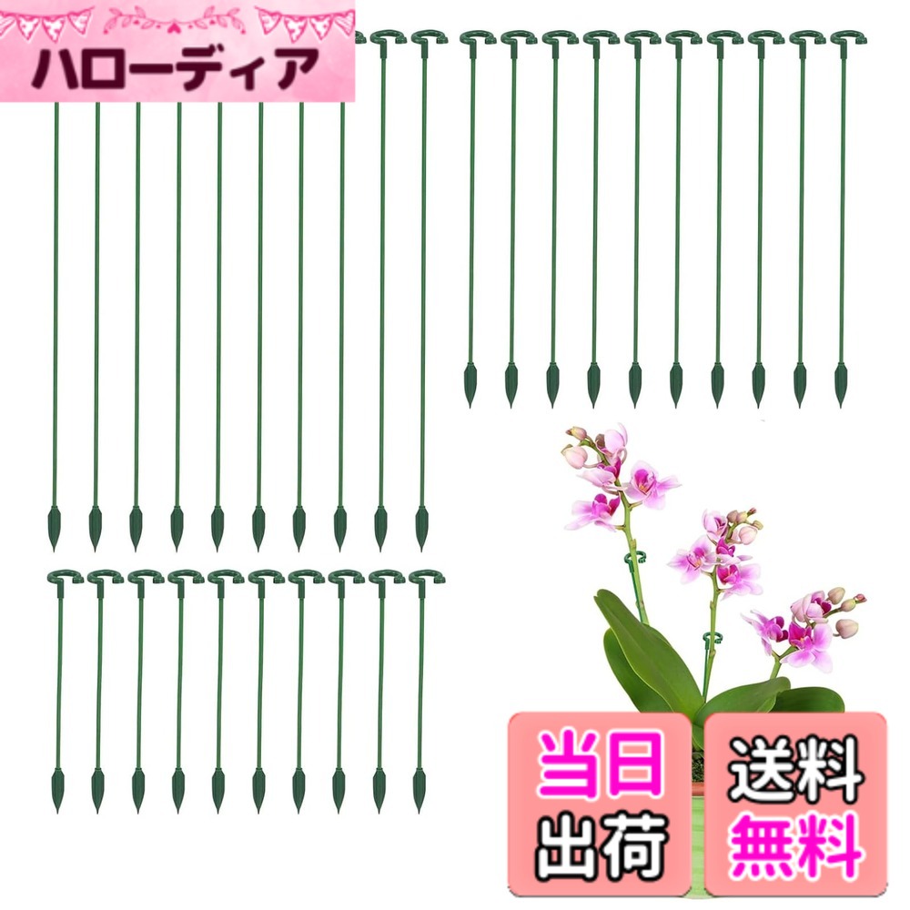 商品情報商品の説明製品仕様： トップのモノリスリングは、植物をしっかり支えて集めることができ、散乱や転倒を防ぐことができます。 中支持部は曲がりにくく、しっかりと立てられ、耐久性がある。 下支え部は、茎やつるを痛めない構造です。 植物の支柱はとても簡単に組み立てられます。 組み立ては、植物を中心にして適切な位置に調整し、その底を土に差し込むだけです。 植物の倒伏防止や直立を促し、水平に伸びる植物の蔓延を止めるために使用されます。 小型のモンステラ、アジサイ、ジャスミン、ランやバラ、多肉植物など、茎が小さい花や植物のほとんどに適しています。主な仕様 【製品仕様】材質：PP。サイズ・数量：約17cm/27cm/37cm、合計30個入り。プラントサポート・スティックがあれば、茎の植物は個性的でエレガントに直立します。 植物の茎をリングの中に入れ、適切な場所を見つけ、ステイクを土に差し込むだけです！【自然な観葉支柱】緑の滑らかな表面により、自然に植物に溶け込むことができます。植物の造形に適用します、植物をまっすぐ健康に成長させるために支え、枝やつるが広がったり落ちたりするのを防ぐことができる植物支柱です。【実用的なガーデニング支柱】このフラワー支柱は変形しにくく、頑丈でしっかりしており、植物をしっかり支えて保護できる観葉支柱です。また耐候性、防錆性、再利用性があり、木材よりも長寿命です。【多用途】この植物サポートは、蘭、牡丹、紫陽花、ピーマン、トマト、一輪草など、花や野菜を保持するのに最適です！ 鉢植えだけでなく、庭の植物にも適しています。 植物を直立させることで、風通しが良くなり、葉が乾燥し、病害虫に強くなります。【簡単・便利な使い方】組み合わせて使用でき、農作物の面積に合わせて自由に選びます。分解して組み立てる必要はありません。ほとんどの茎が入るのに適しており、シングルステークのリングは植物を十分に支えることができますが、その成長を妨げることなくそれに十分なスペースを与えます。