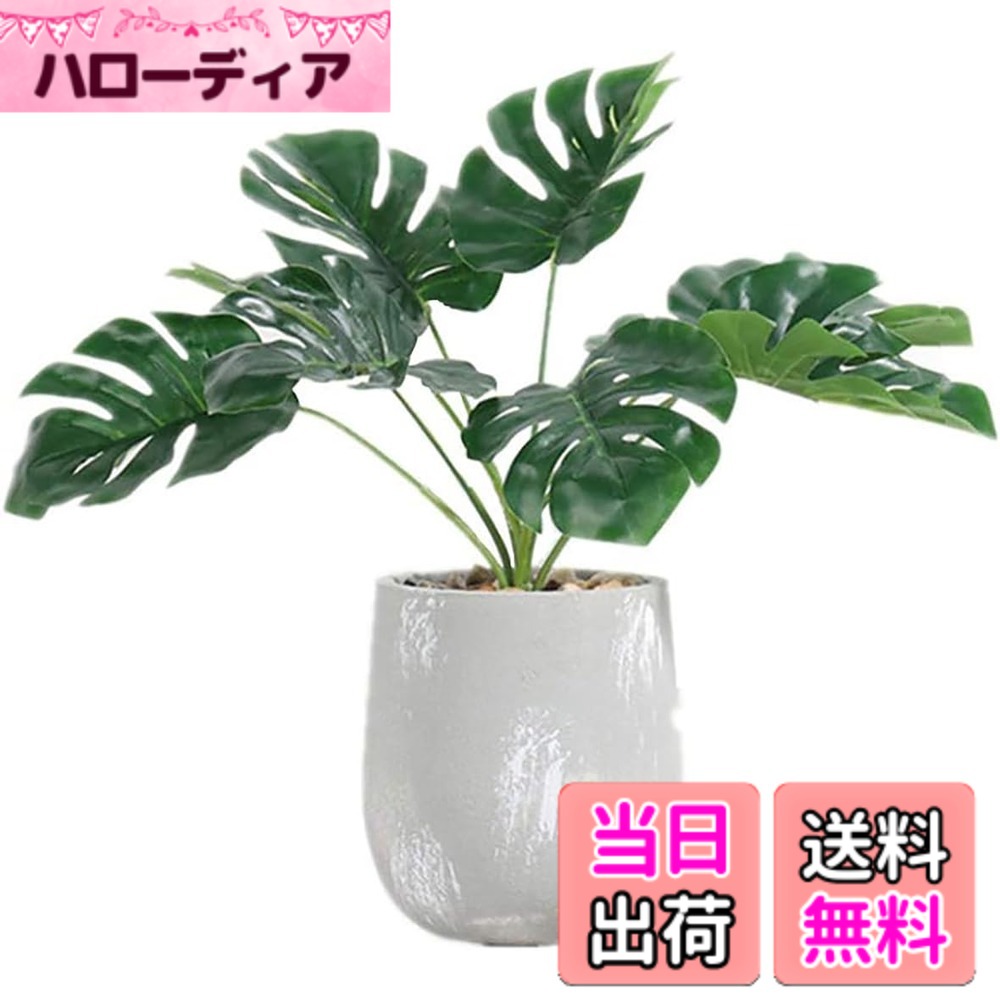 【送料無料】人工観葉植物 モンステラ 幅15cmx奥行15cmx高さ38cm フェイクグリーン 光触媒仕様 陶器鉢付き 簡単世話 水やり不要 色：モンステラ、サイズ：F