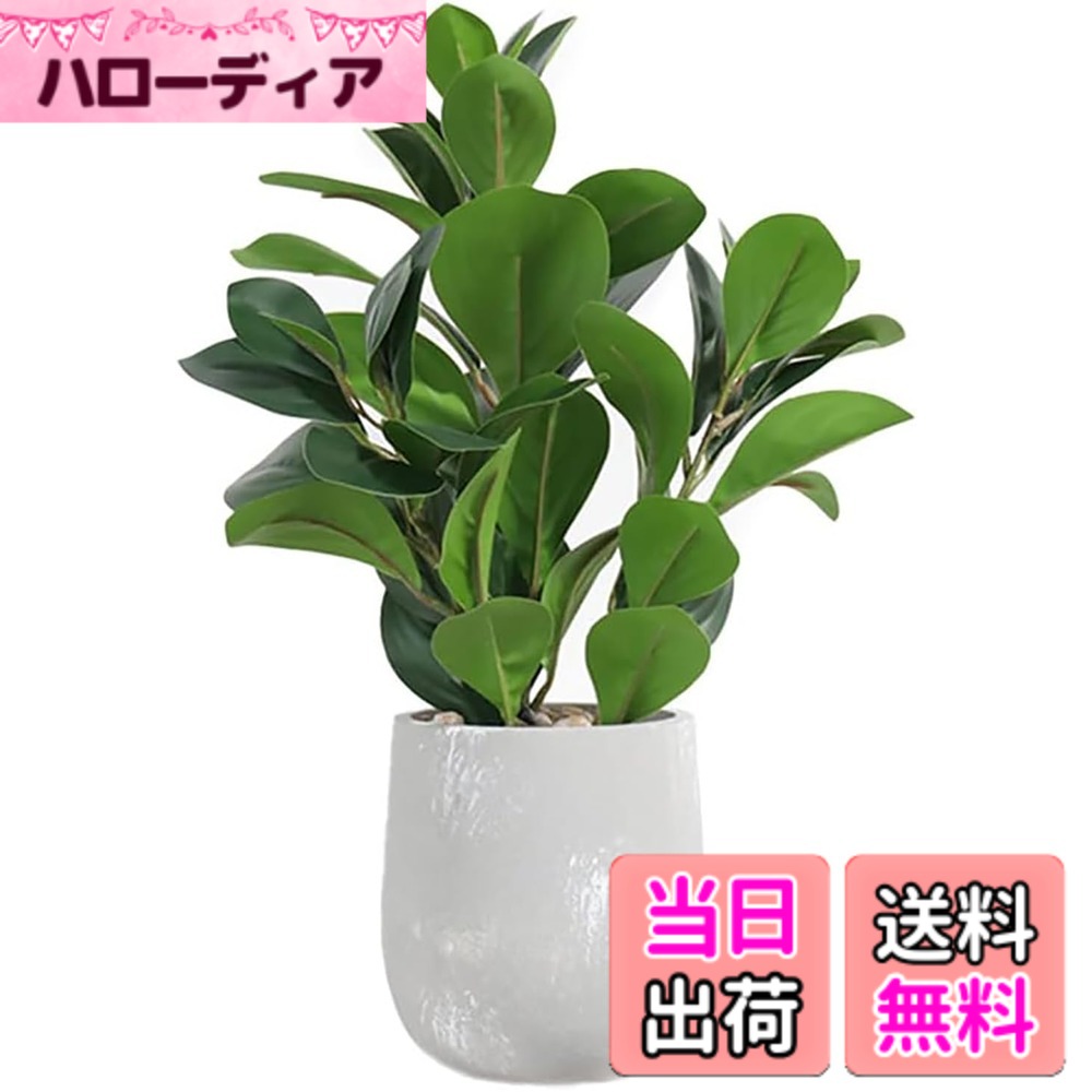 【送料無料】人工観葉植物 モンステラ 幅15cmx奥行15cmx高さ38cm フェイクグリーン 光触媒仕様 陶器鉢付き 簡単世話 水やり不要 色：青葉、サイズ：F