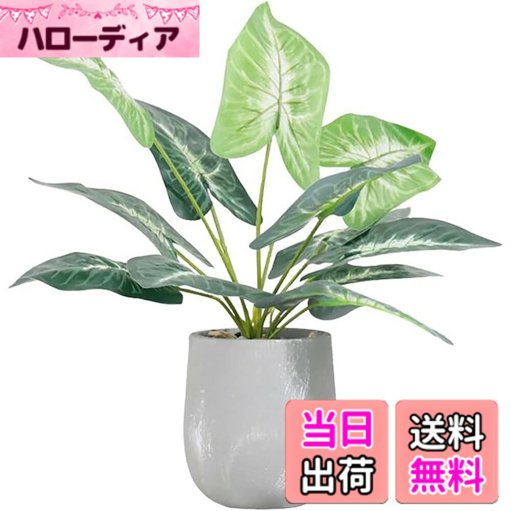 【送料無料】人工観葉植物 モンステラ 幅15cmx奥行15cmx高さ38cm フェイクグリーン 光触媒仕様 陶器鉢付き 簡単世話 水やり不要 色：太郎葉、サイズ：F