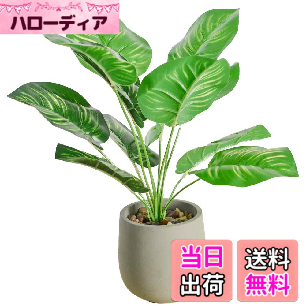 【送料無料】人工観葉植物 モンステラ 幅15cmx奥行15cmx高さ38cm フェイクグリーン 光触媒仕様 陶器鉢付き 簡単世話 水やり不要 色：カラテア、サイズ：F