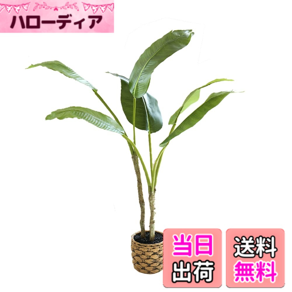 【送料無料】qinhome人工観葉植物 熱帯観葉樹モンステラ 光触媒 フェイクグリーン フェイク 高さ64CM 大型サイズ 簡単世話いらず 陶器鉢 鉢は取り外し不可 インテリア 屋内 リビング オフィス 空気清浄 色：旅人木、サイズ：63 cm