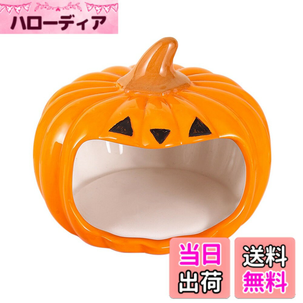 【送料無料】IRRVIN ハムスター ハウス 陶器 おへや 隠れ家 ハロウィン仕様 涼感 夏用 ひんやり 冷房対策 暑さ対策 お休み所 寝床 砂浴び トイレ 快適 かわいい 洗える 飾り付け 掃除便利 (カボチャ型) 色：カボチャ型