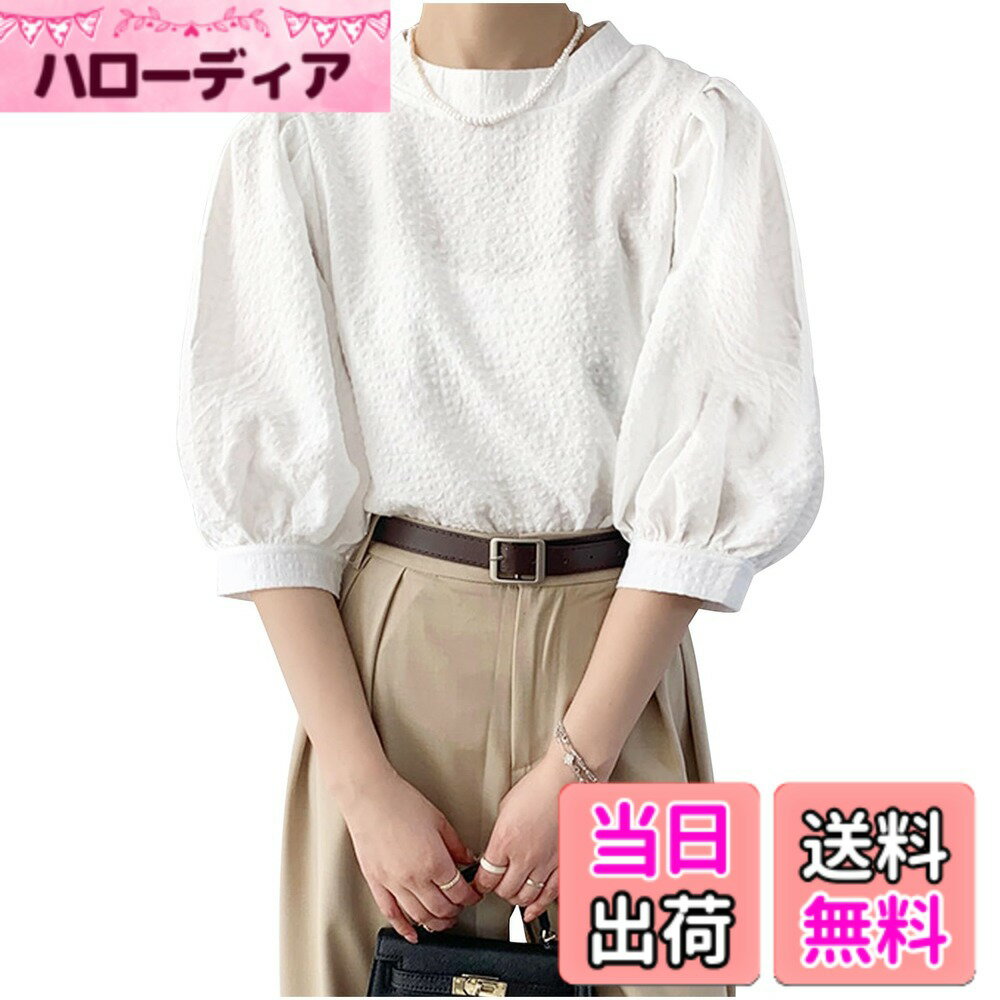 ������̵����[�ͥ�����] ���åȥ��� ��ǥ����� �֥饦�� �ѥե��꡼�� �ܥ�塼�ॹ�꡼�� ���ȥ饤�� �ȥåץ� �����ۥ磻�ȡ���������L