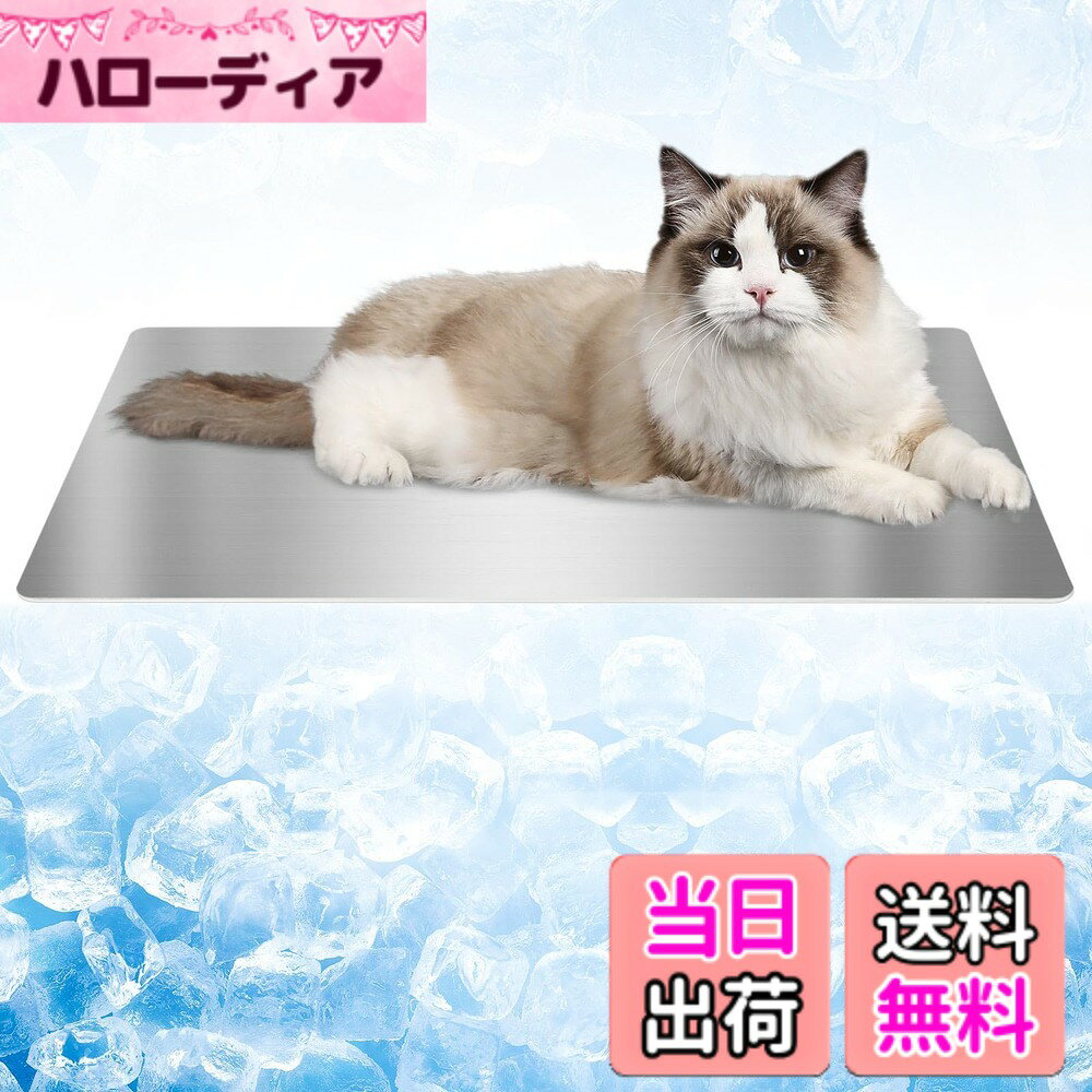 ������̵���ۥڥå� �ô��ץ졼�� �����̿�������������30*50cm