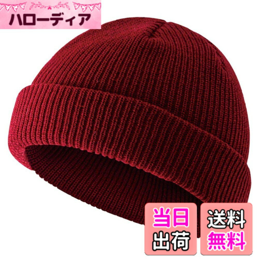 【送料無料】[バズ セレクション] ニット帽 帽子 シンプル スノボー おしゃれ アウトドア ナチュラル メンズ レディース CAQ115 色：ワイン、サイズ：Free Size