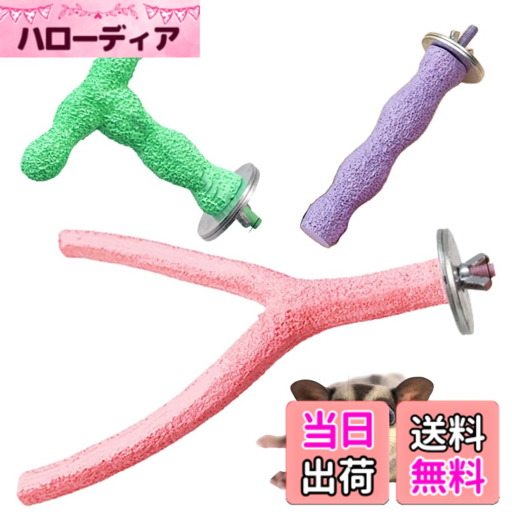 ������̵����SALUDABLE ���� �ޤȤ� ������ �ե������� ������� ��ưʪ TY�� �С� ���å� ����B������3�����åȡ���������T������9.5...