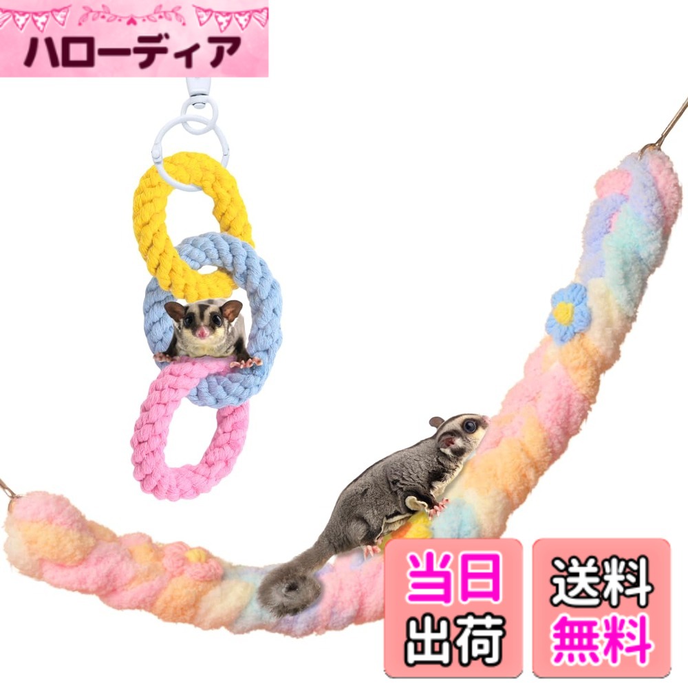 ������̵����SALUDABLE ���� ������� �ե������� ������ �ߤ겼�� ������ ��ưʪ 2�����å� �����ѥ��ƥ�
