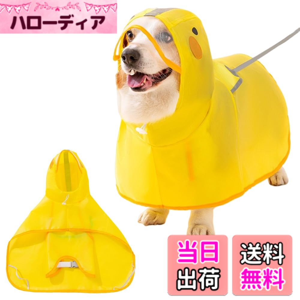 ������̵���۸��� ���� �쥤�󥳡��� �ա����դ� ��ʢ���С��դ� �ϡ��ͥ��դ� Ĵ����ǽ�ʥ����դ� �����ʥ��ҥ�Υ����� �ݥ���� ��æ��ñ �Ӥ������դ��� ��...