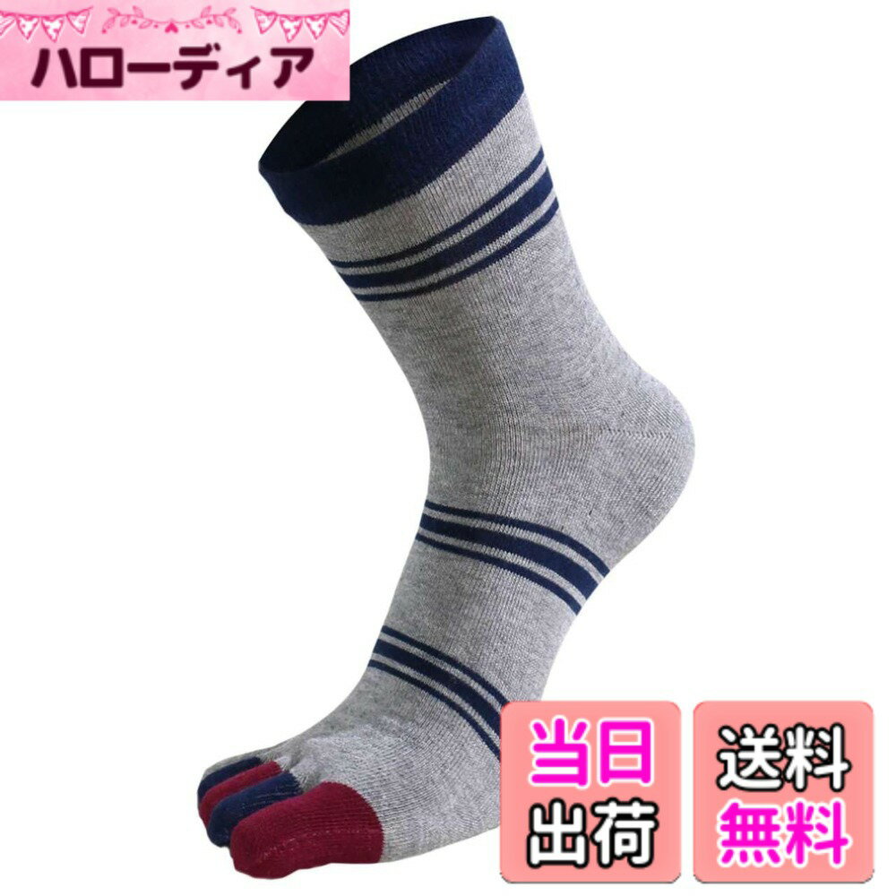 ������̵����[�ۥ磻�ȥե���] 5�ܻ� ���ȥ饤�� ���åȥ� ���� �ե꡼������ ����ץ� �����奢�� ��� SC154 �������졼����������Free Si...