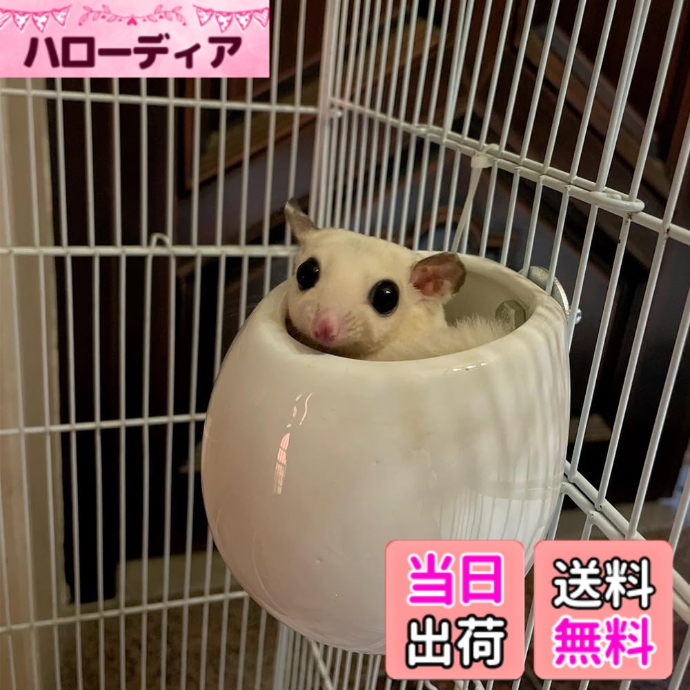 ������̵����IYOIYA�ե������� �ݡ��� �� ƫ�� �ϥ��� ���� �� �Ҥ��� �ô� ���� ���� ����� �٥å� �ߤ겼�� ��ưʪ �뤵 Ǯ��� �к�...