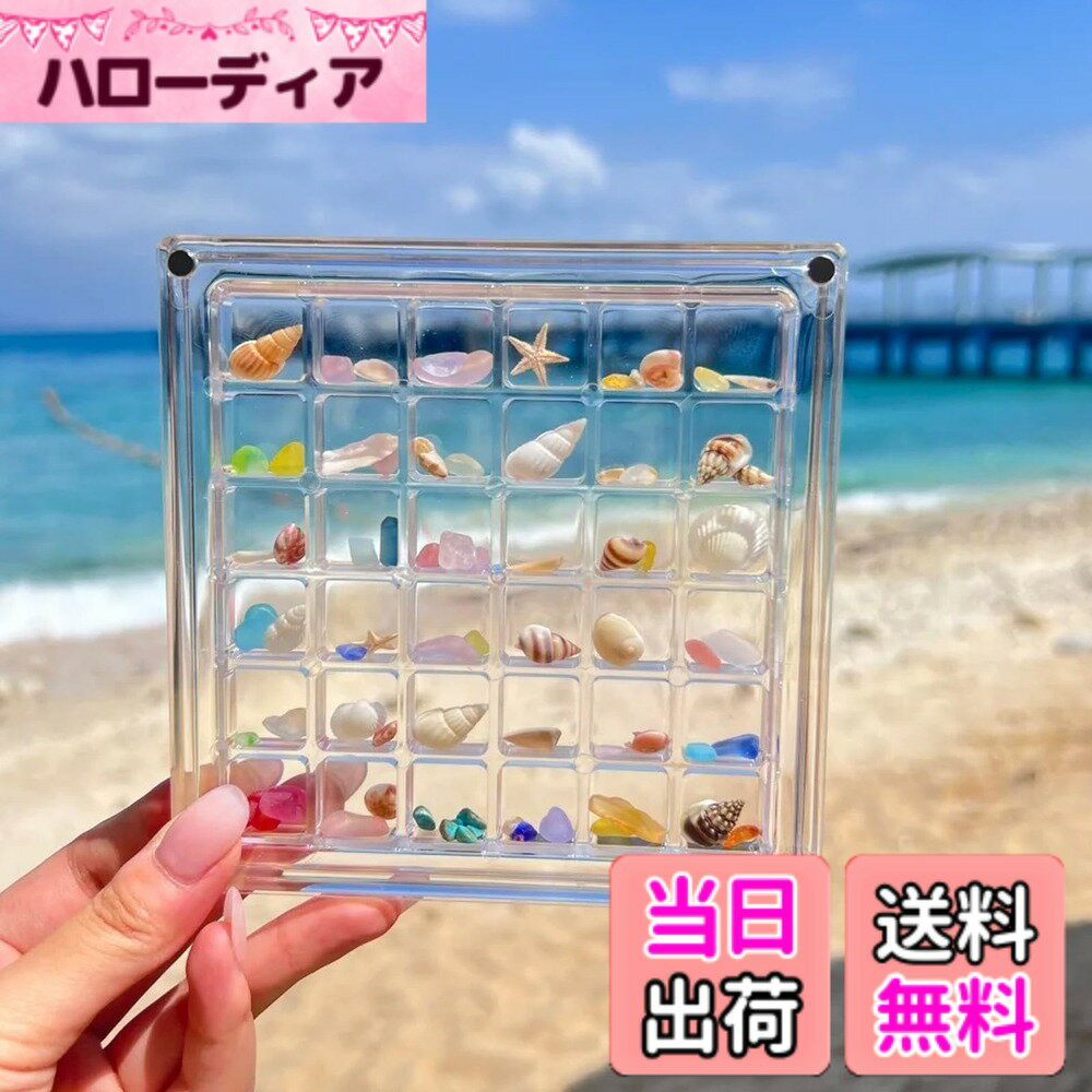 楽天市場】貝殻 小物入れ（インテリア・寝具・収納）の通販