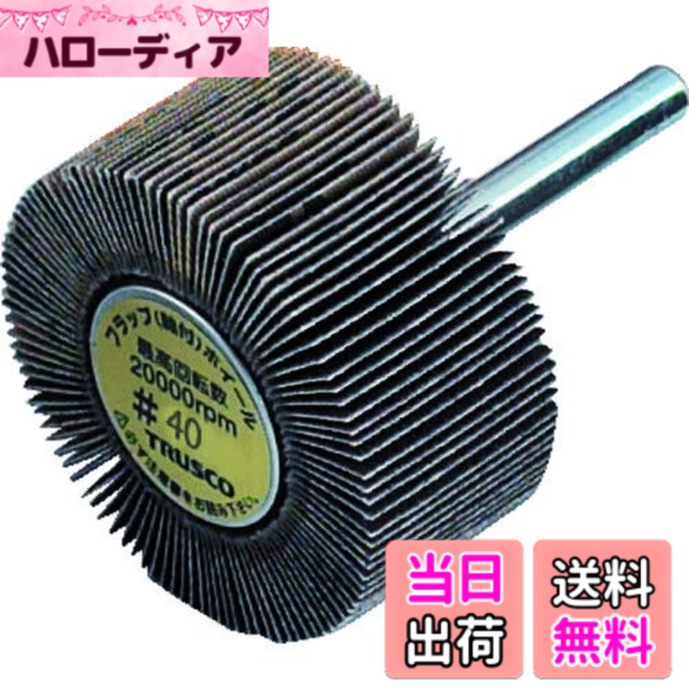 【送料無料】TRUSCO(トラスコ) フラップホイール サイズ：外径100X幅25X軸径6