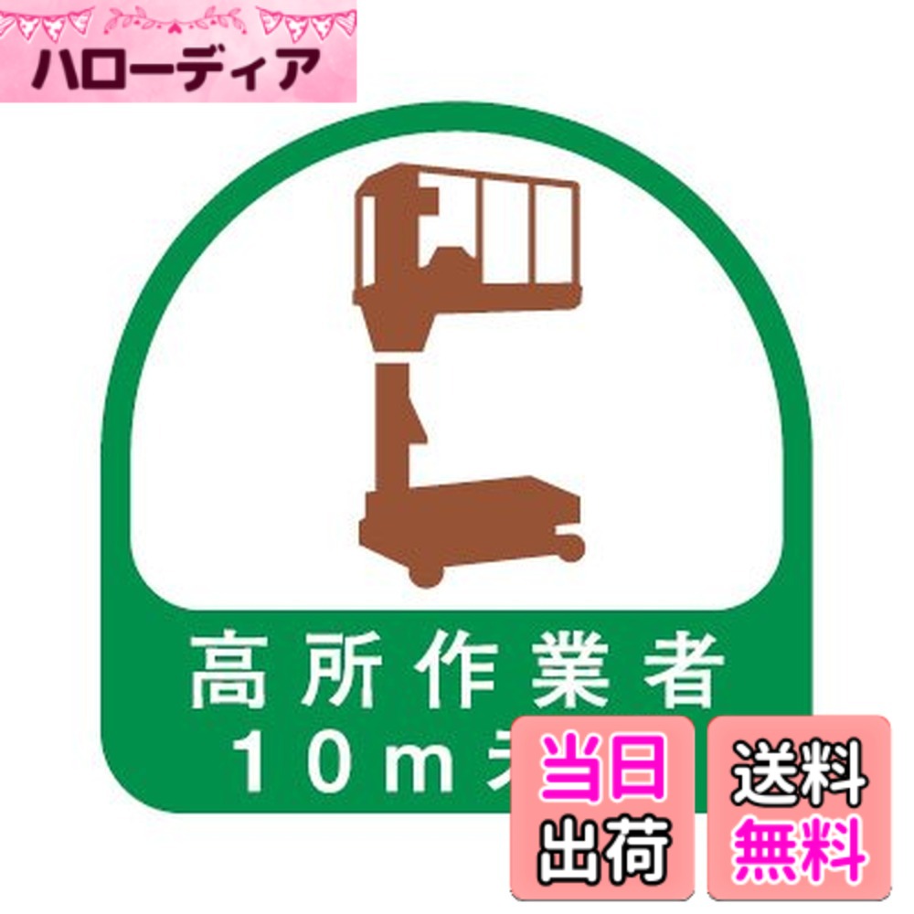 【送料無料】TOYO トーヨーセフティー ヘルメット用ステッカー 高所作業者10m未満 35x35mm 2枚入り 68-042 色：グリーン