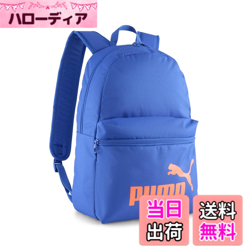 ������̵����[�ס���]���å����å� �ե����� �Хå��ѥå� ���ȥ��� �֥롼/�ԡ�������(03)(���ԥ�ǥ�) ����25ǯ���ߥ��顼 �ޥ���ƥ� �֥롼/��...