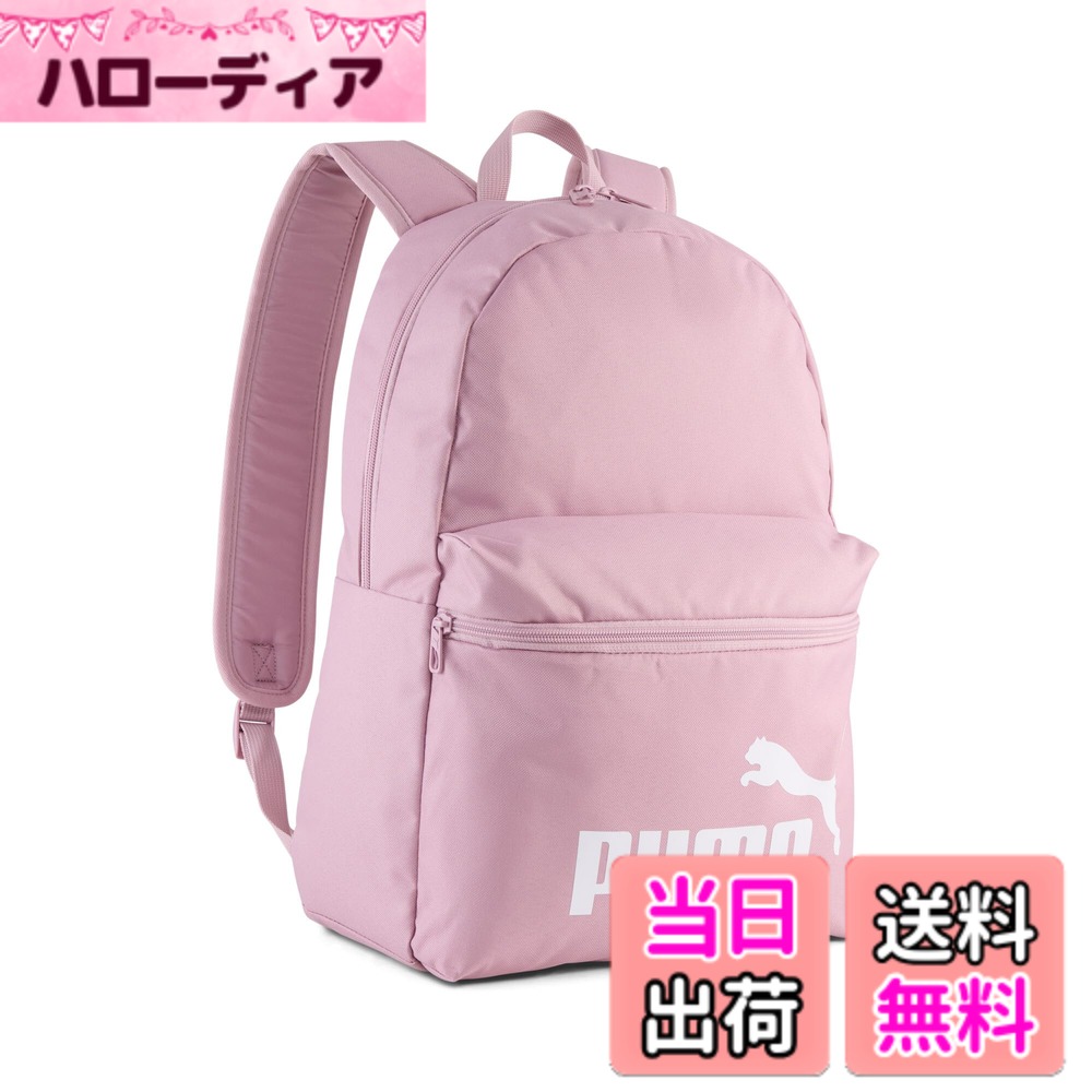 ������̵����[�ס���]���å����å� �ե����� �Хå��ѥå� ���ȥ��� �֥롼/�ԡ�������(03)(���ԥ�ǥ�) ����25ǯ���ߥ��顼 �ݥ����� �ԥ�(17...