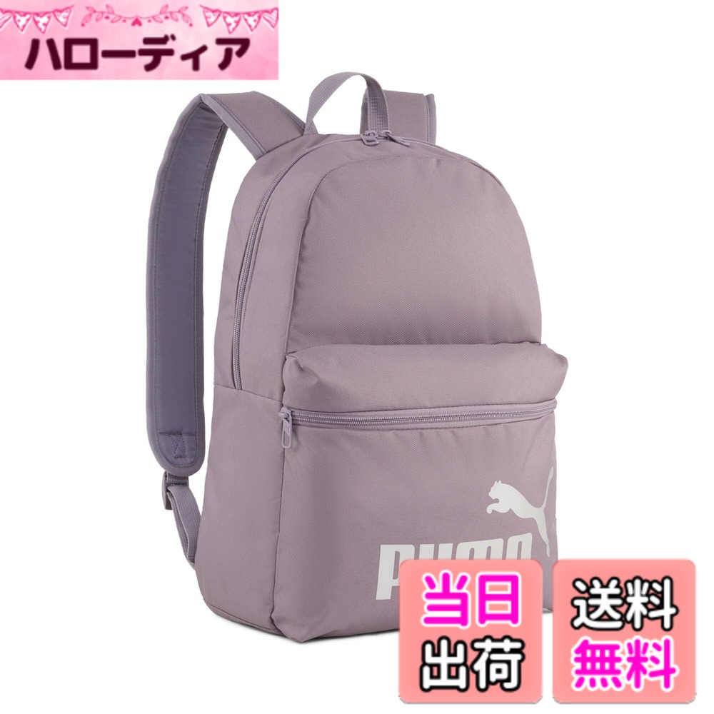 ������̵����[�ס���]���å����å� �ե����� �Хå��ѥå� ���ȥ��� �֥롼/�ԡ�������(03)(���ԥ�ǥ�) ����25ǯ���ߥ��顼 �ץ�� ����� �����...