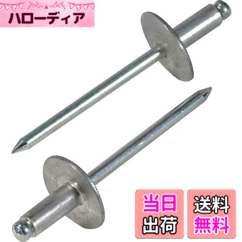 【送料無料】エビ ラージフランジブラインドリベット アルミ/スティール サイズ：リベット長(mm):28.2