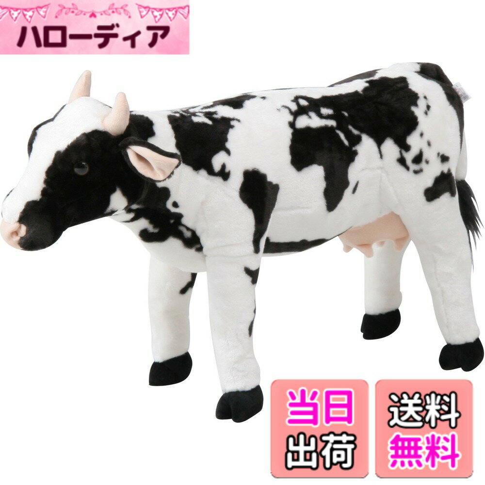 ������̵���������ǰ� �¤��̤�����ߡ��̤������ ���˥ޥ륹�ġ��� �Ѳٽ�80kg �����ۥ磻��/�֥�å������������ե꡼������