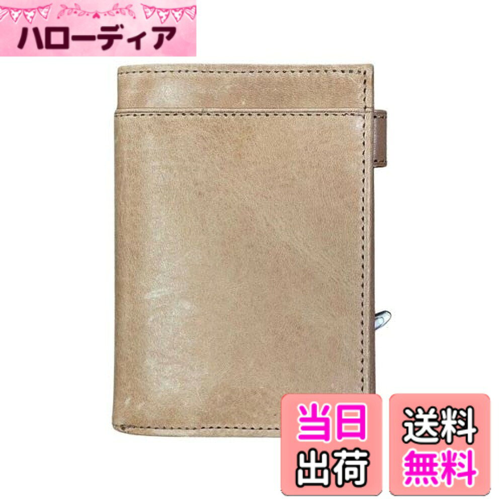 【送料無料】Ashford(アシュフォード) システム手帳 ビタリータ ミニ5 11mm 名刺フォン【ナチュラル】姫路レザー 2131-060 色：ベージュ、サイズ：ミニ5