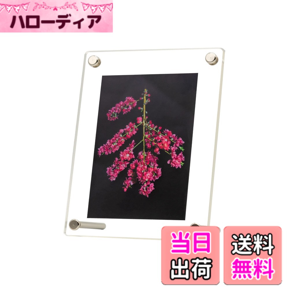 ������̵���ۥϡ��ĥ饹AR ��ȿ�� UV���å� �������ե��ȥե졼�� �̿�Ω�� ����Ʃ������������LȽ