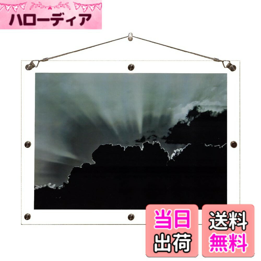 ������̵���ۥϡ��ĥ饹AR ��ȿ�� UV���å� �������ե��ȥե졼�� �̿�Ω�� ��������A3Ƚ