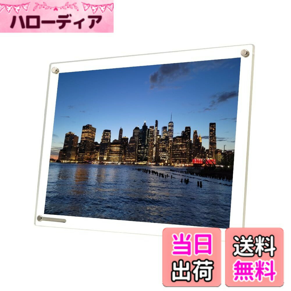 ������̵���ۥϡ��ĥ饹AR ��ȿ�� UV���å� �������ե��ȥե졼�� �̿�Ω�� ��������2LȽ