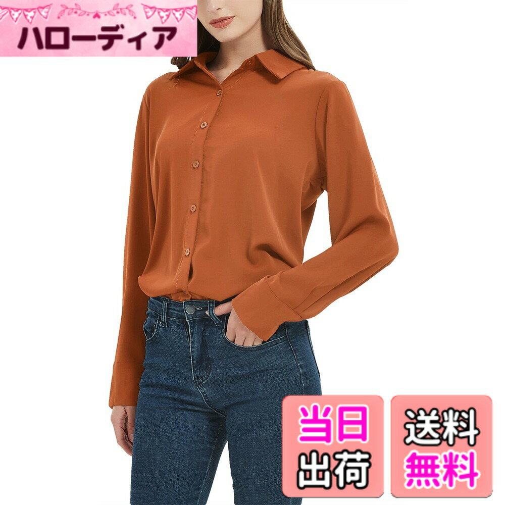 Other - 【送料無料】[SPRING SEAON] シャツ ブラウス レディース とろみワイシャツ ゆったり 大きいサイズ 長袖 ノーアイロン オフィス カジュアル ファッション 通勤 日常 高通気性 2S-4L 色：ブリックレッド、サイズ：3L