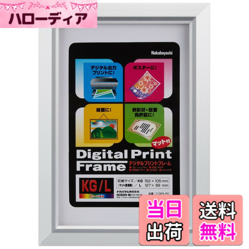 【送料無料】ナカバヤシ アルミ製プリントフレーム 2L判・KG判 フ-DPA-2L 色：シルバー、サイズ：KG判・L判