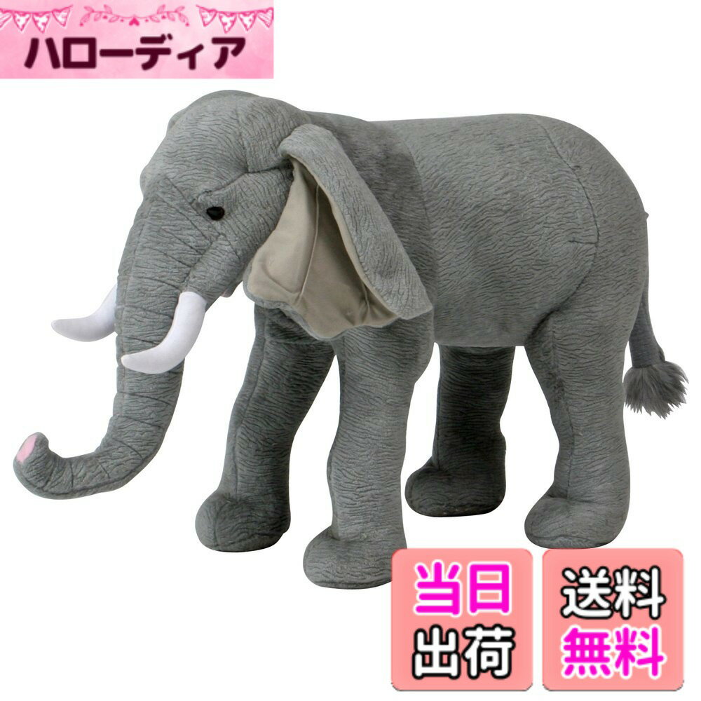 ������̵���������ǰ� �¤��̤�����ߡ��̤������ ���˥ޥ륹�ġ��� �Ѳٽ�80kg ����������30x����95x�⤵60cm