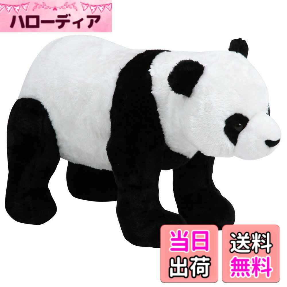 ������̵���������ǰ� �¤��̤�����ߡ��̤������ ���˥ޥ륹�ġ��� �Ѳٽ�80kg �����ѥ��������������