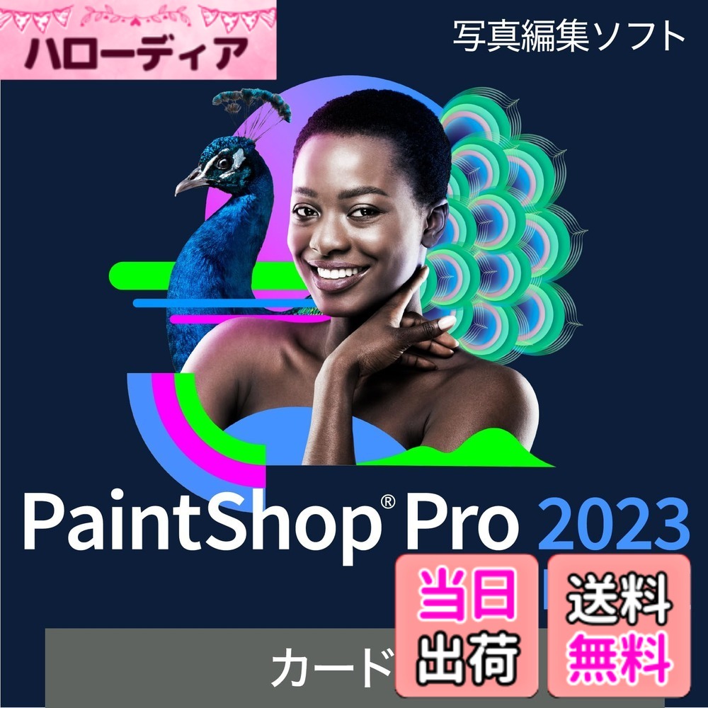 【送料無料】PaintShop Pro 2023 色：上位版