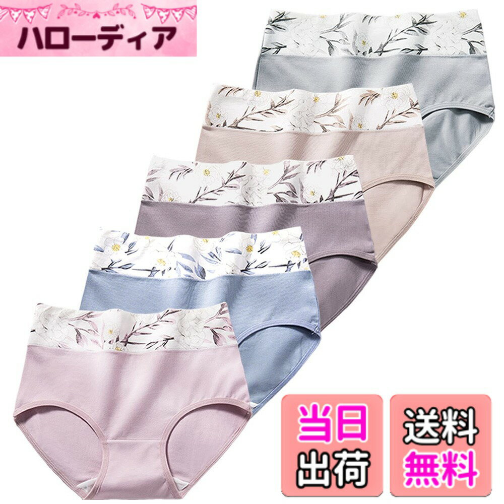 【送料無料】[xreisi] レディース ショーツ 綿 1枚セット4枚セット 5枚セット レギュラーショーツ パンツ 美形・綿 ・蒸れにくい ・ 通気性 快適 ・かわいい 女性 下着 色：XR-6104 /ショーツ5枚セット、サイズ：LL