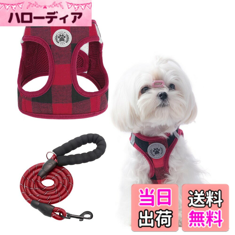 ������̵����BEAUTYZOO ���ѥϡ��ͥ� �꡼�ɥ��å� ������ �淿�� �緿���б� ����ĥ���ɻ� Ĵ���ǽ �̵�����å��� ���� ȿ�ͺ��դ� ��ñ��æ ȴ��...