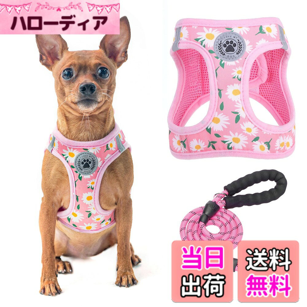 ������̵����BEAUTYZOO ���ѥϡ��ͥ� �꡼�ɥ��å� ������ �淿�� �緿���б� ����ĥ���ɻ� Ĵ���ǽ �̵�����å��� ���� ȿ�ͺ��դ� ��ñ��æ ȴ��...