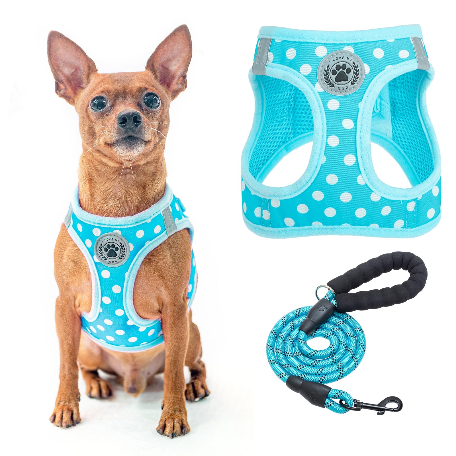 ������̵����BEAUTYZOO ���ѥϡ��ͥ� �꡼�ɥ��å� ������ �淿�� �緿���б� ����ĥ���ɻ� Ĵ���ǽ �̵�����å��� ���� ȿ�ͺ��դ� ��ñ��æ ȴ��...