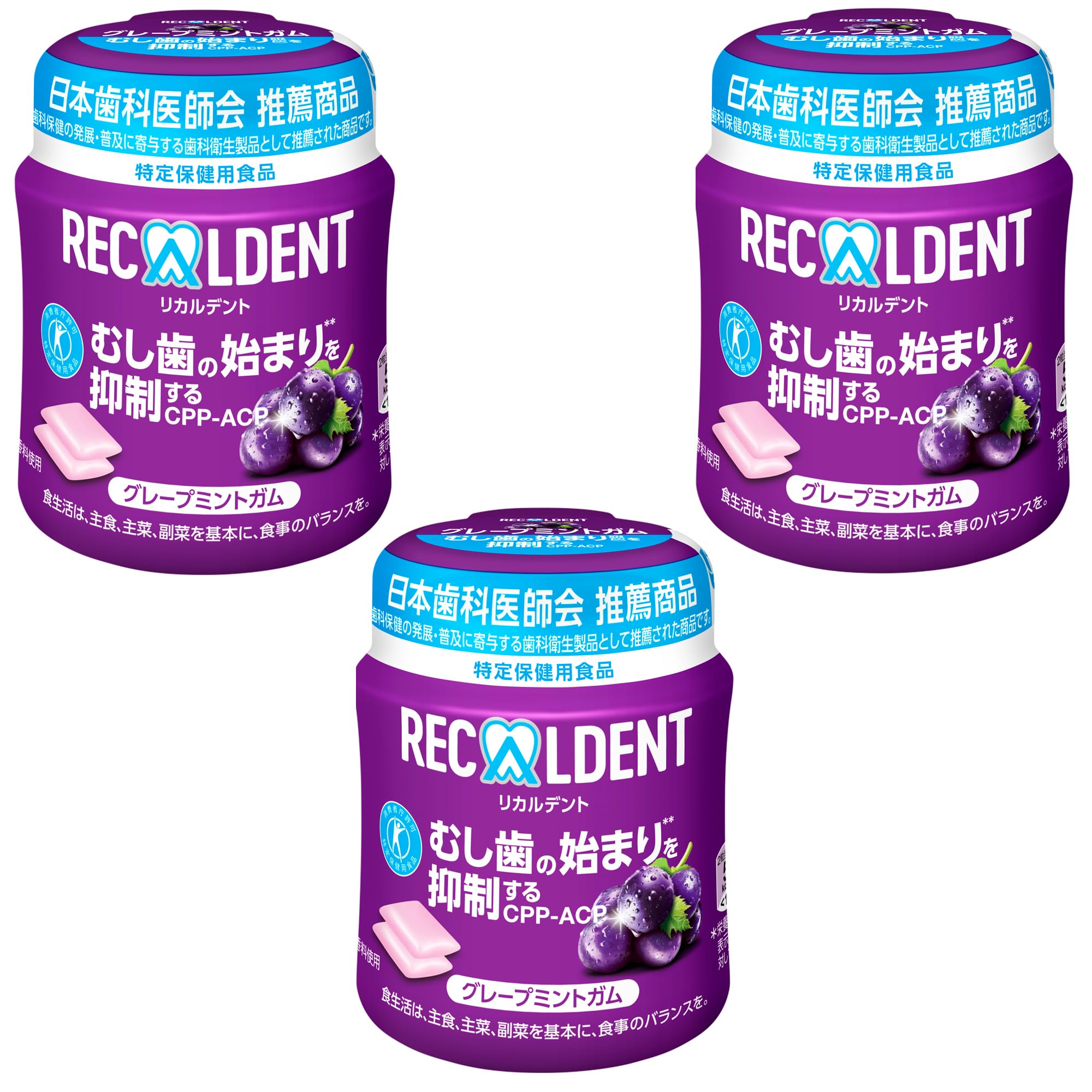 【送料無料】モンデリ—ズ リカルデント スタンドパウチ 大容量 280g サイズ：ボトル×3個