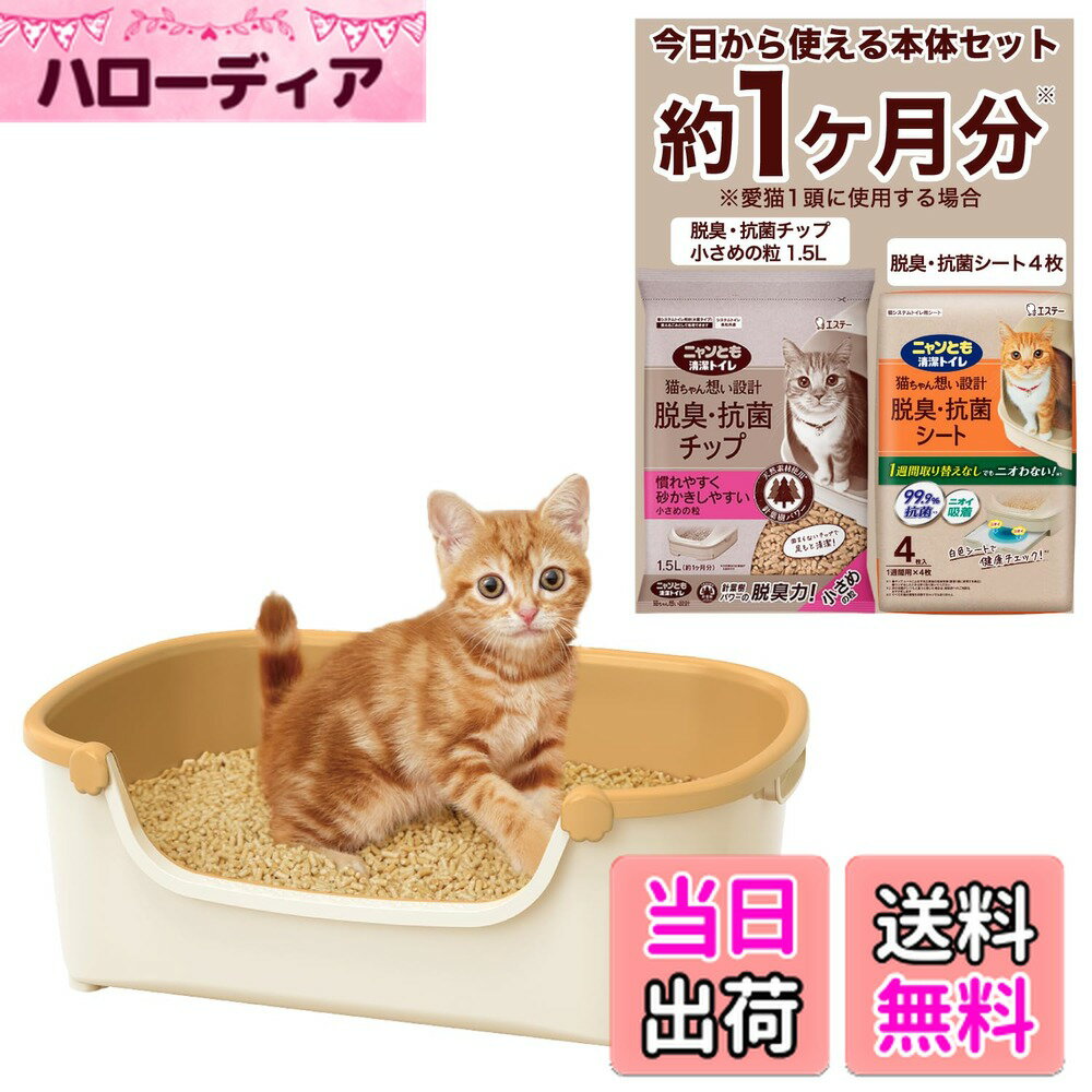 ������̵���ۥ˥��Ȥ�����ȥ��� ǭ �ȥ��� ���Υ��å� [��1����ʬ ǭ������������] [��ǭ�� ������] ������������ѥ��� �����ܥ꡼&�ڡ��륪��� ��...