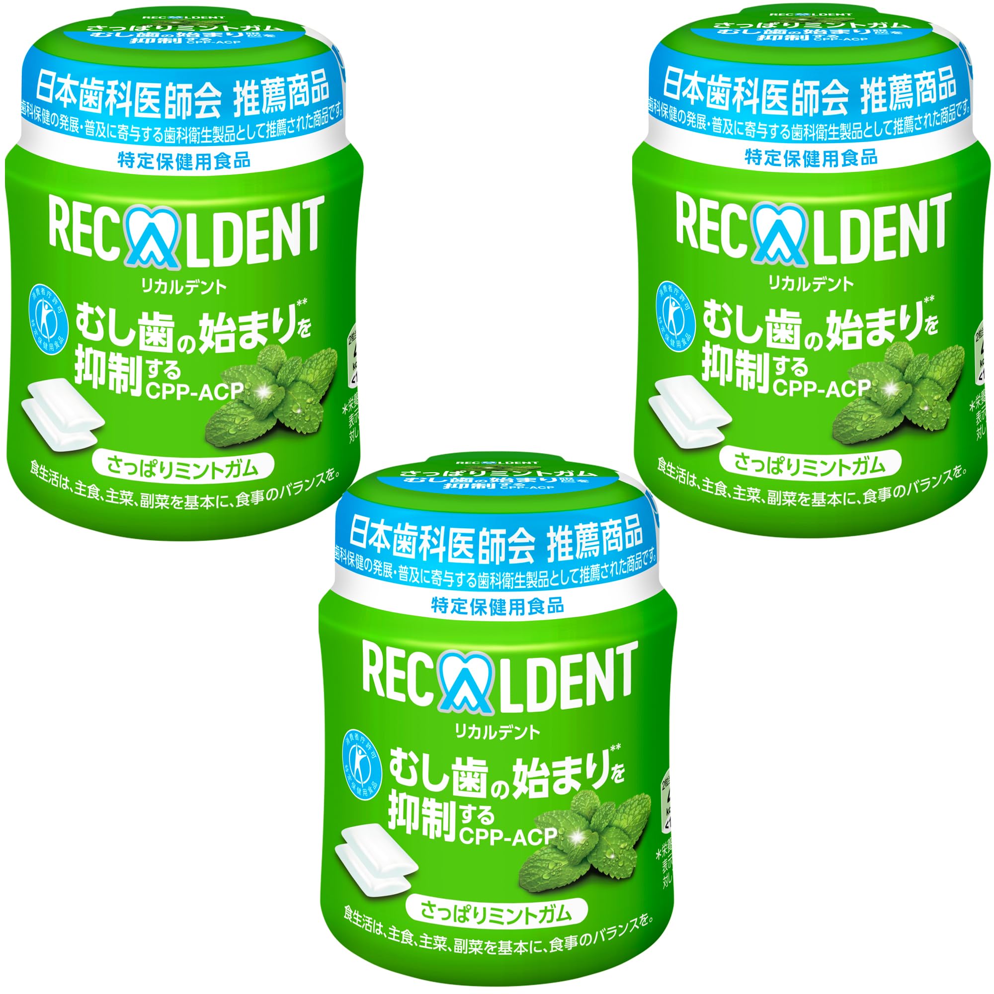 【送料無料】モンデリ—ズ リカルデント スタンドパウチ 大容量 280g サイズ：ボトル×3個