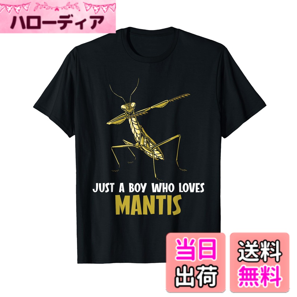 【送料無料】カマキリ 虫 祈るカマキリ Tシャツ 色：ブラック、サイズ：S