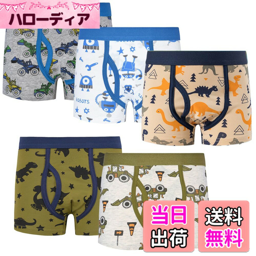 ������̵����[kalavika] �ܥ������ѥ�� ������ �֥꡼�� �ˤλ� 5�祻�å� 100��140cm �ܥ������֥꡼�� ���å� �ѥ�� �� �ܡ����� 11...