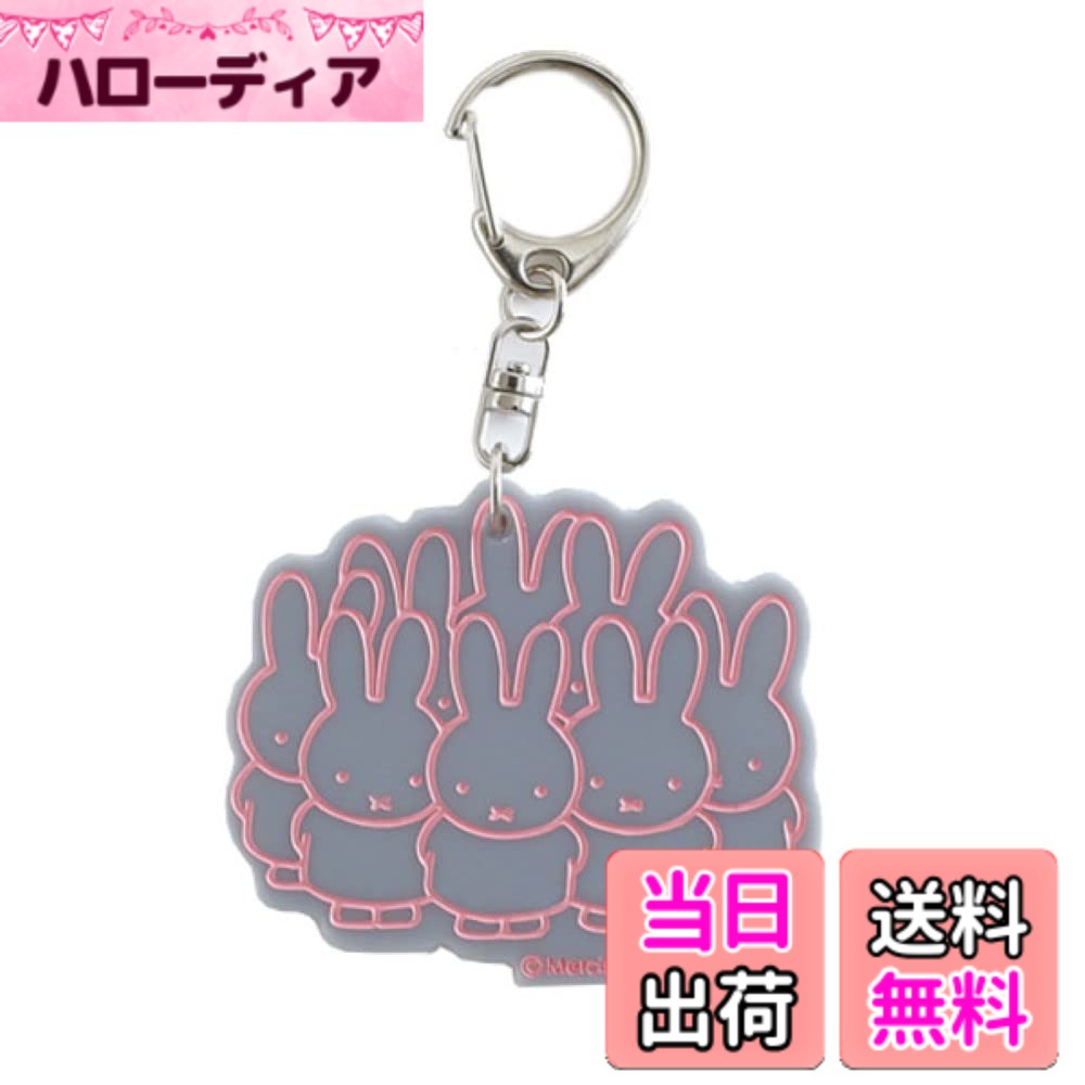 商品情報商品の説明カラーアクリルにミッフィーのイラストが彫り加工で施されています。 シンプルなので、大人っぽく使っていただけるキーホルダーです。主な仕様 本体サイズ:約W63xH54mmbrIllustrations Dick Bruna (C) copyright Mercis bv, 1953-2023