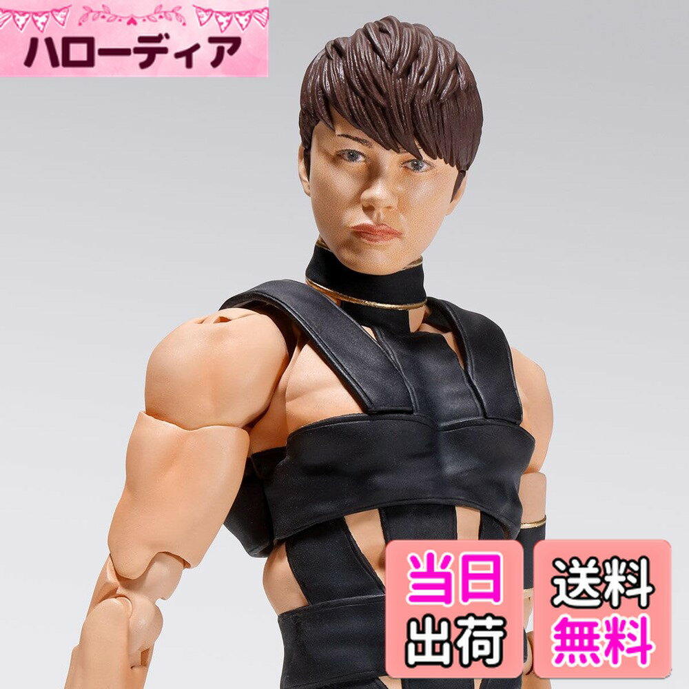 【送料無料】バンダイ(BANDAI) S.H.Figuarts T.M.Revolution 西川貴教 色：赤と黒