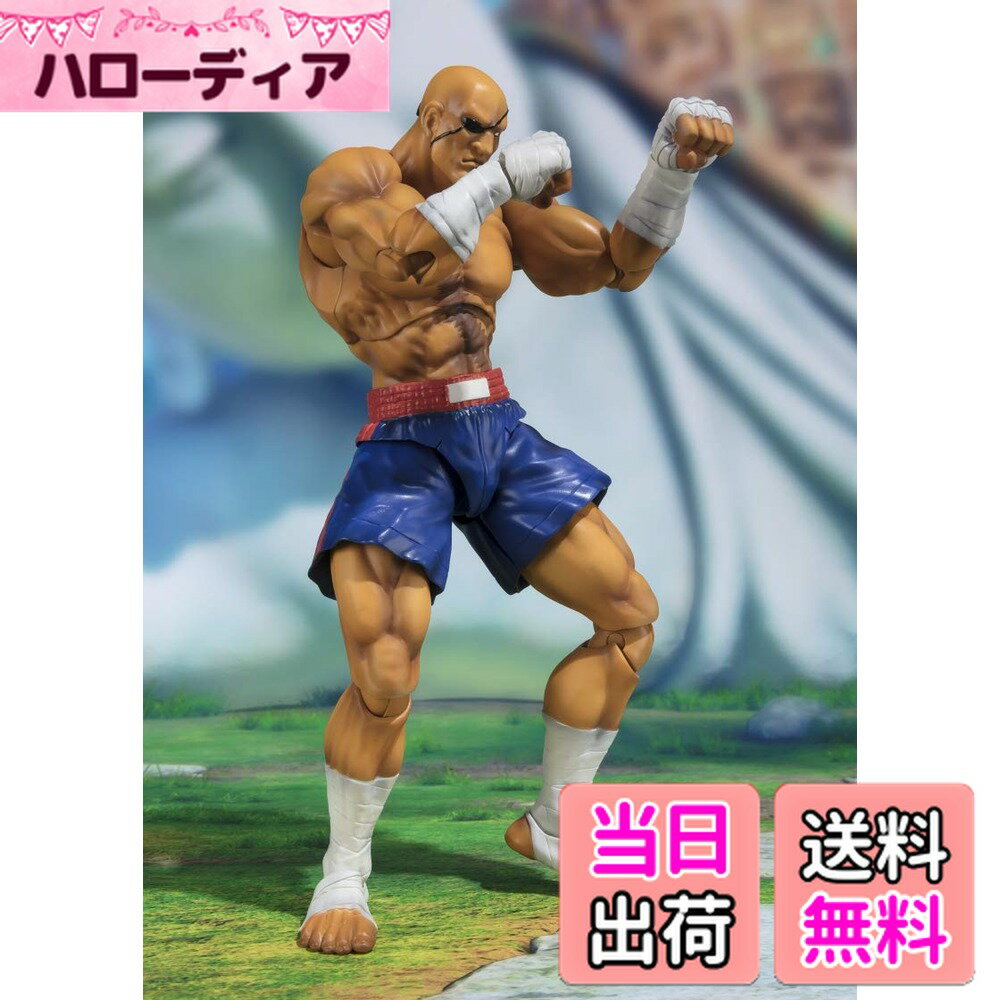 【送料無料】Street Fighter V: Sagat, Bandai S.H.Figuarts 色：マルチ、サイズ：ワンサイズ