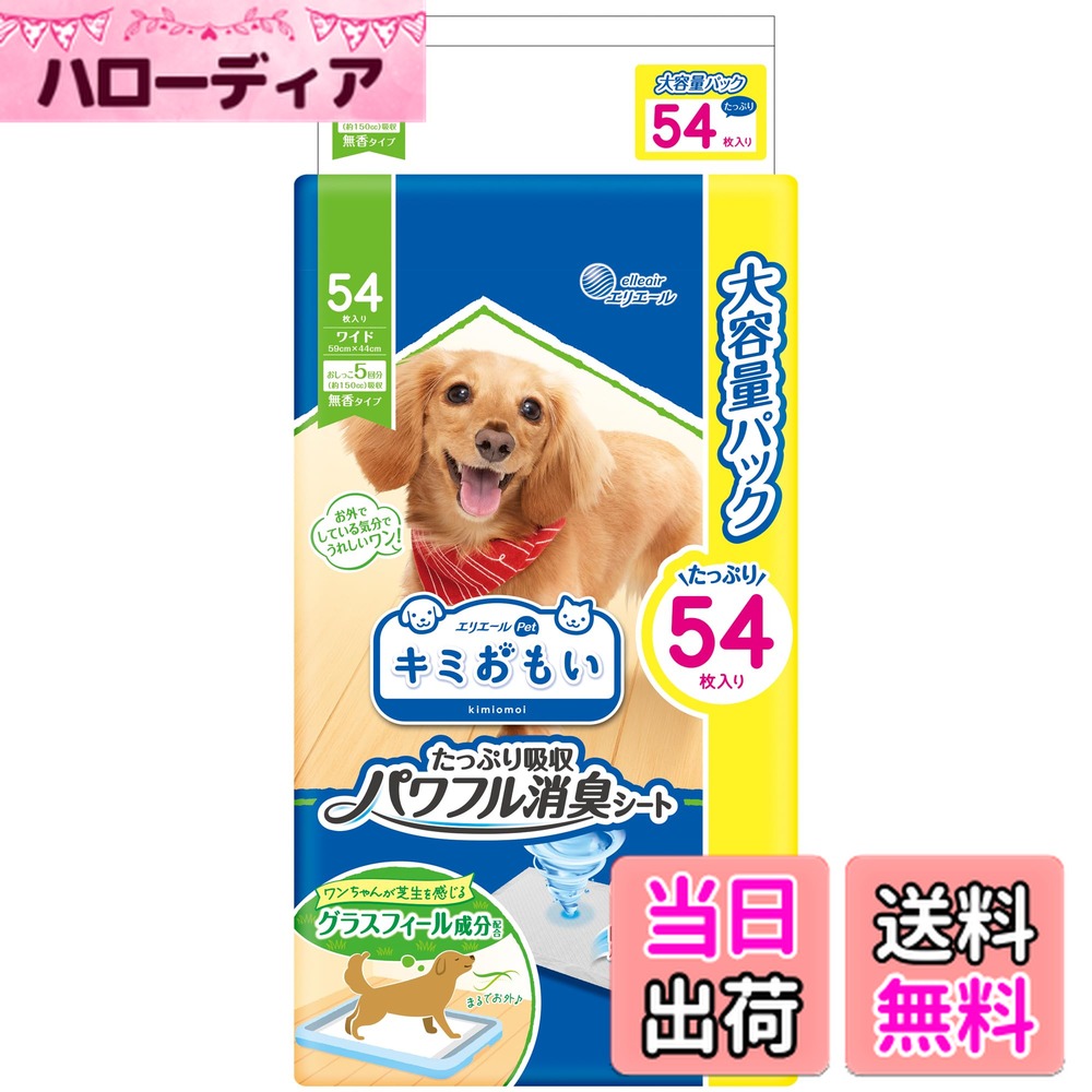 ������̵���ۥ��ߤ��⤤ �ѥ�ե�ý������� �����ۥ磻��