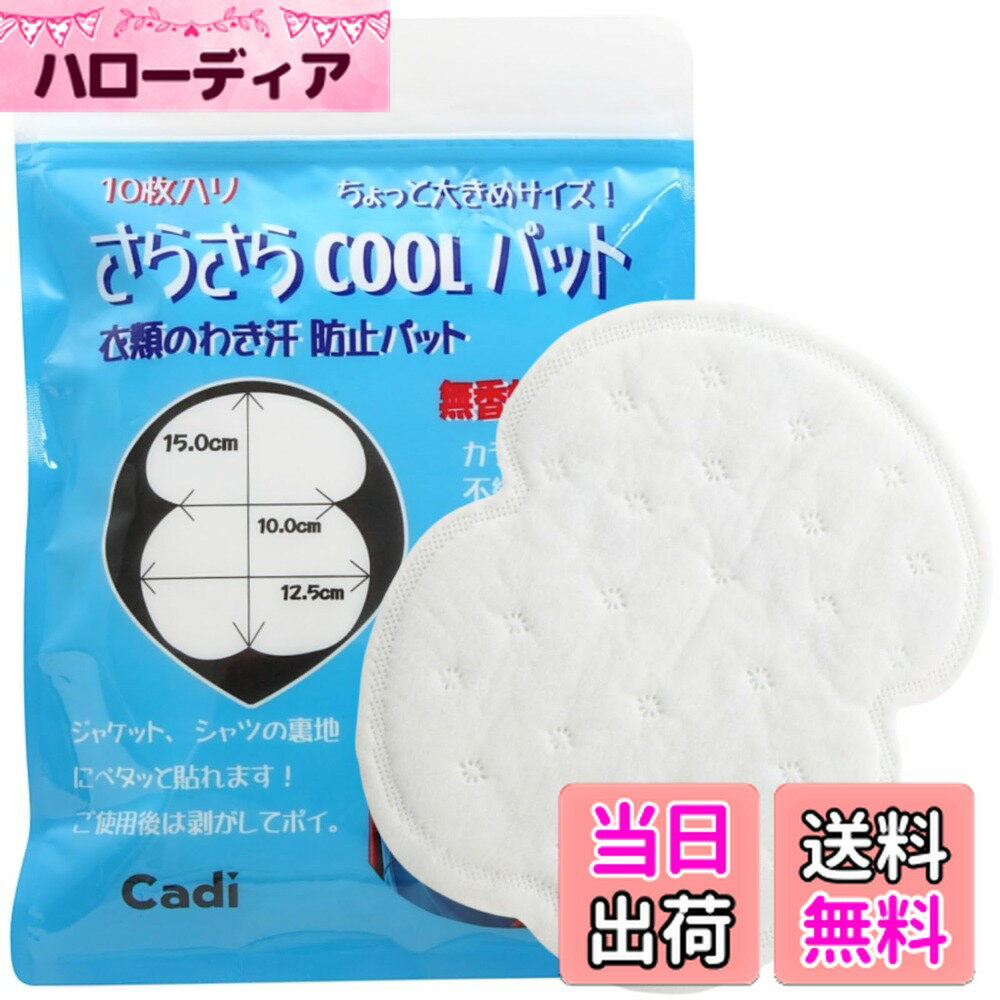 ������̵����Cadi �來�����ѥå� 40������ ����ä��礭�᥵���� �ƴ��ѥå� ��� ̵���������� �����ۥ磻�ȡ����������礭��