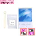 【送料無料】カイメン末 ウクライナ産 スポンジア 原粉末 非精製 強滅菌 ハーブ 色:グリーン、サイズ:5g