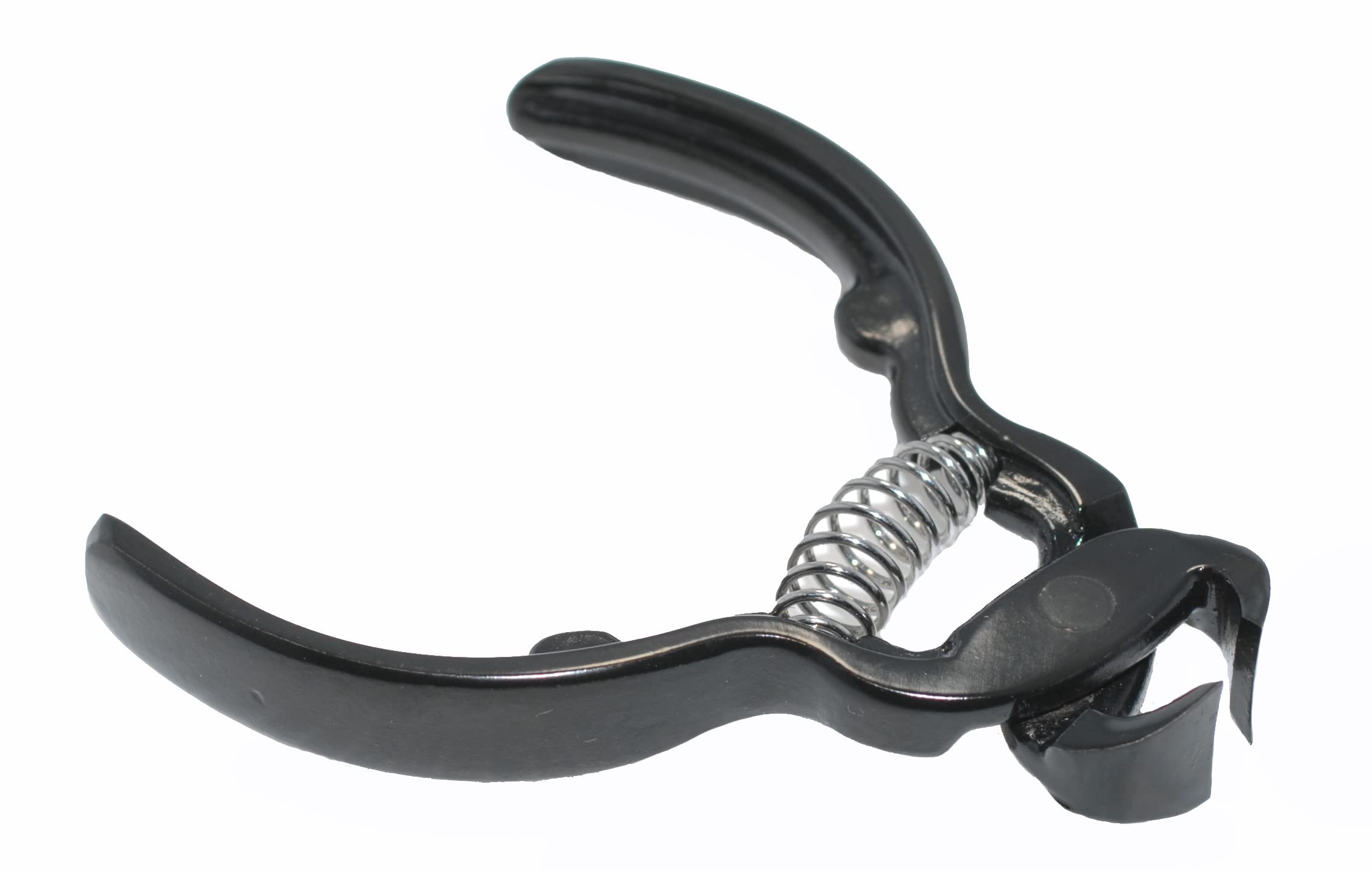 ̵۱ ˥åѡڤ  ɻý饷å Ȣ  ˥åѡڤ ޤ䤹 Ĺ90mm 䤹 ͥ륱 ӥ塼...